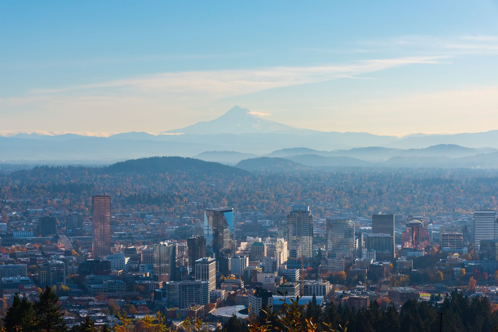 Skyline A photo of Portland's skyline