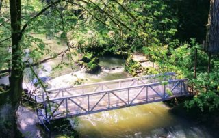 Leach Botanical Garden bridge