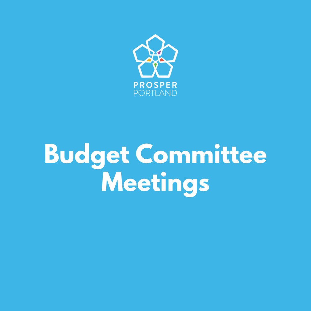 Budget Committee Meetings