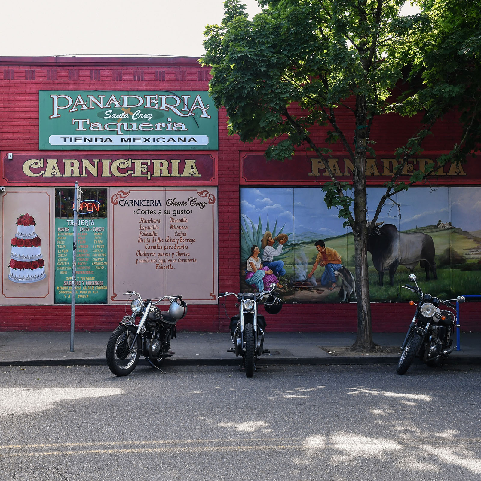 Tienda Santa Cruz St Johns